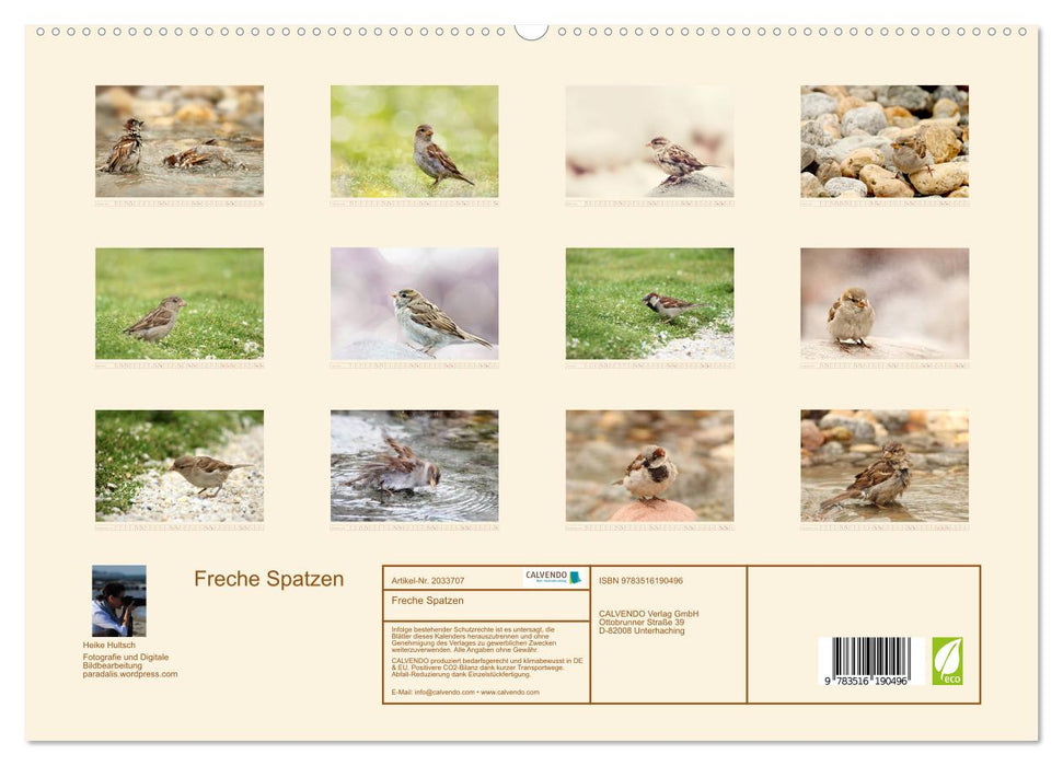 Freche Spatzen (CALVENDO Premium Wandkalender 2026)