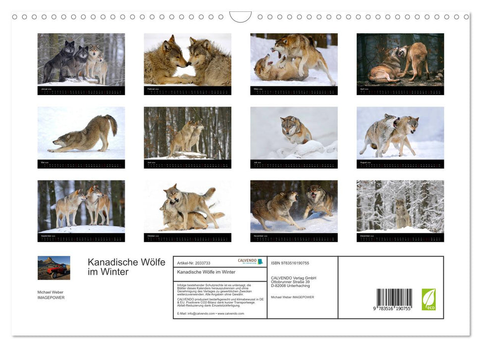 Kanadische Wölfe im Winter (CALVENDO Wandkalender 2026)