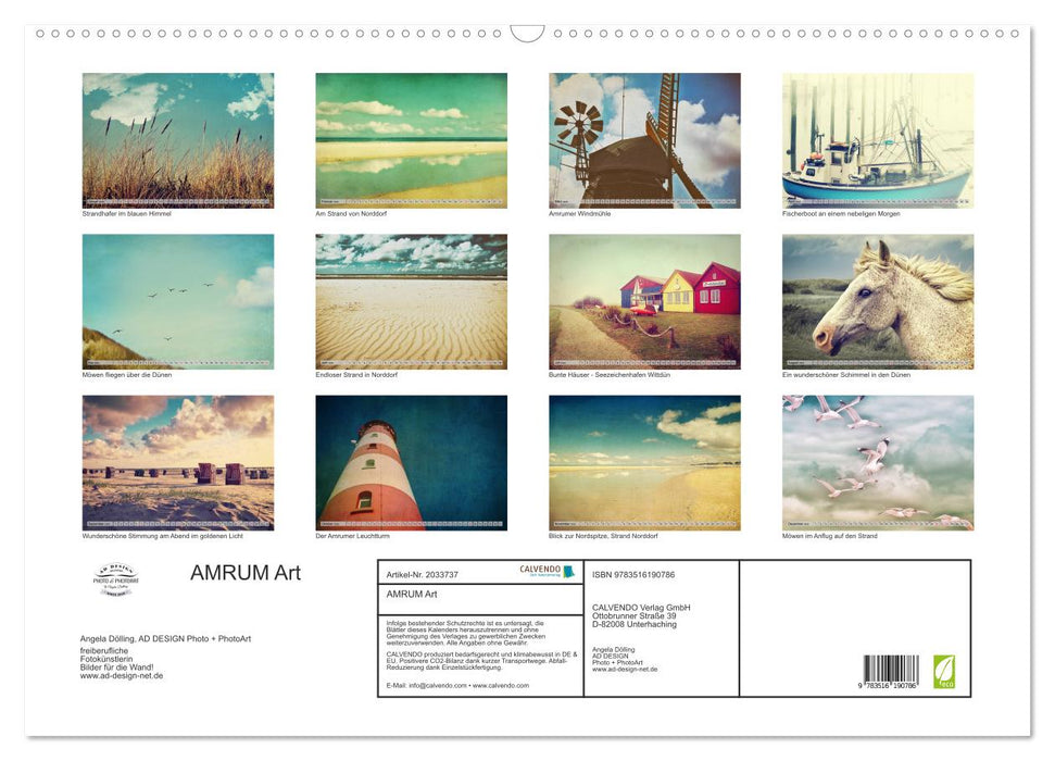 AMRUM Art (CALVENDO Wandkalender 2026)