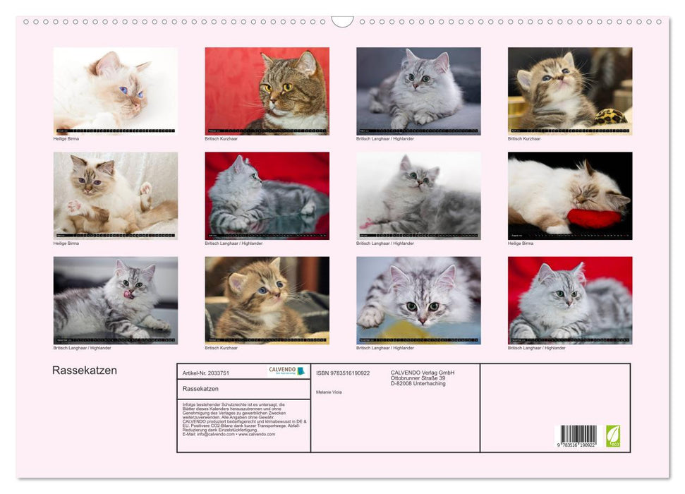 Rassekatzen (CALVENDO Wandkalender 2026)