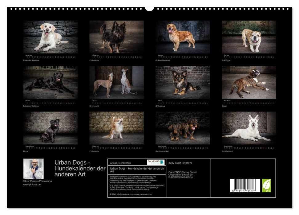Urban Dogs - Hundekalender der anderen Art (CALVENDO Premium Wandkalender 2026)
