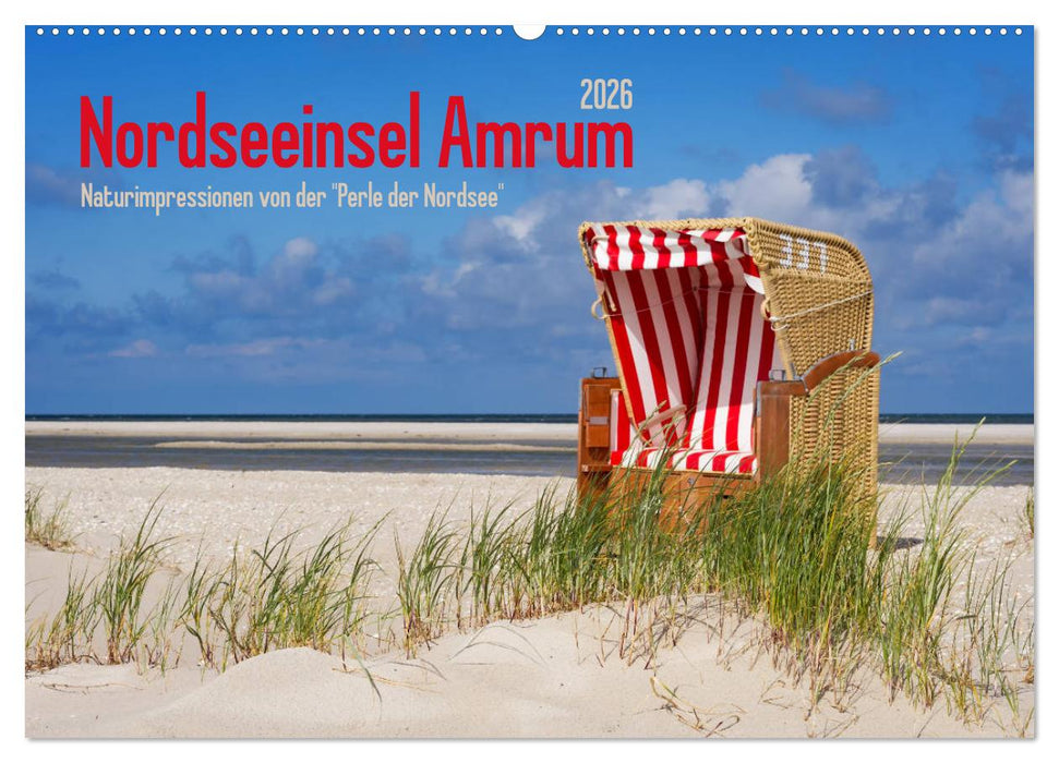 Nordseeinsel Amrum (CALVENDO Wandkalender 2026)