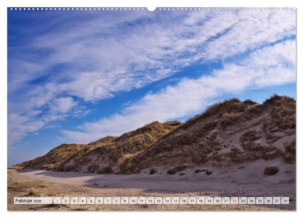 Nordseeinsel Amrum (CALVENDO Wandkalender 2026)