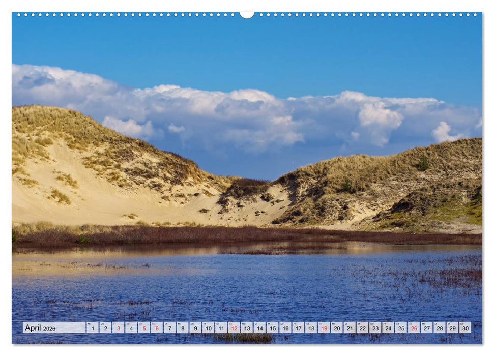 Nordseeinsel Amrum (CALVENDO Wandkalender 2026)