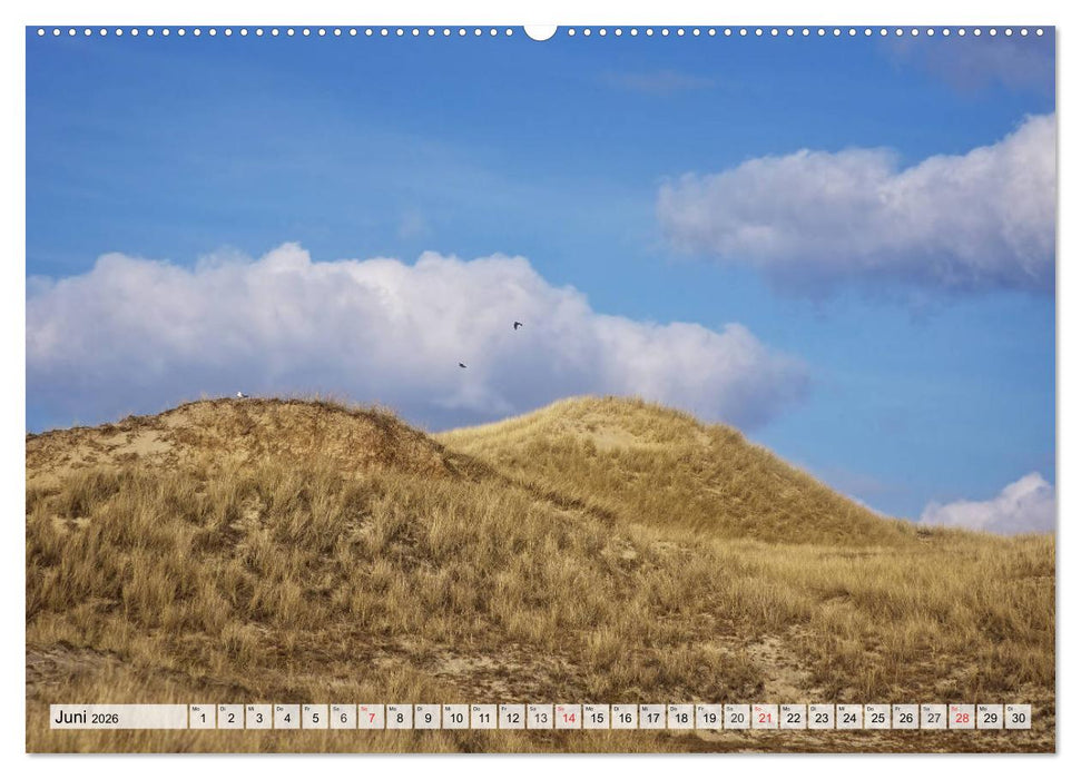 Nordseeinsel Amrum (CALVENDO Wandkalender 2026)