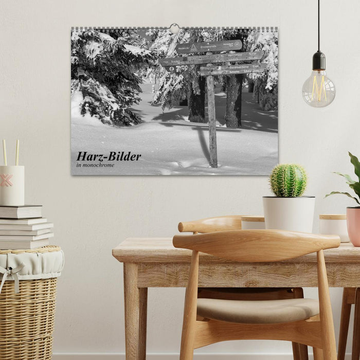 Harz-Bilder in monochrome (CALVENDO Wandkalender 2026)