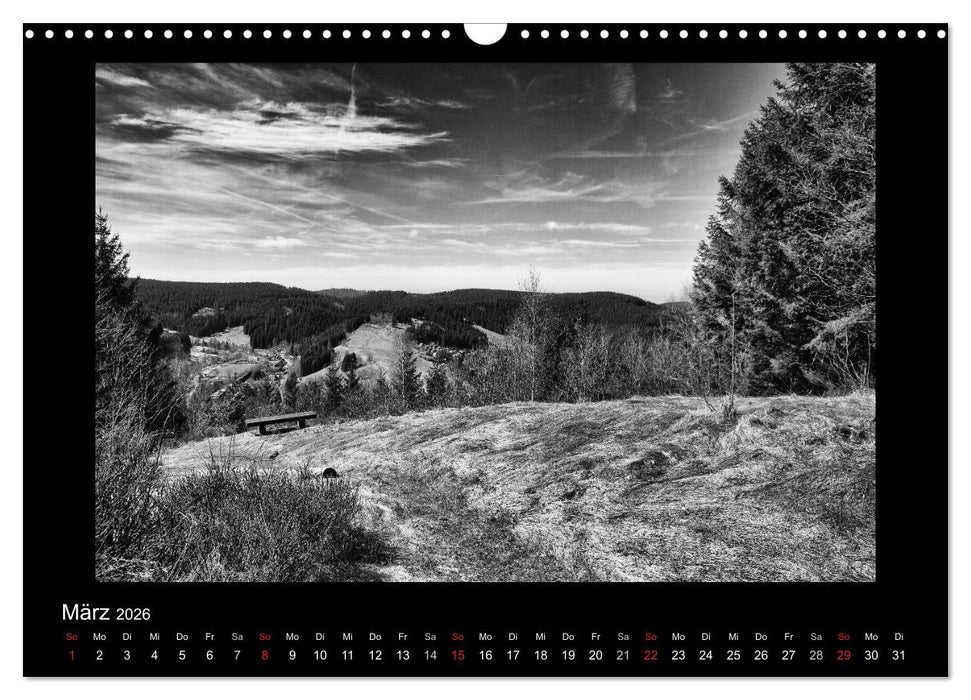 Harz-Bilder in monochrome (CALVENDO Wandkalender 2026)