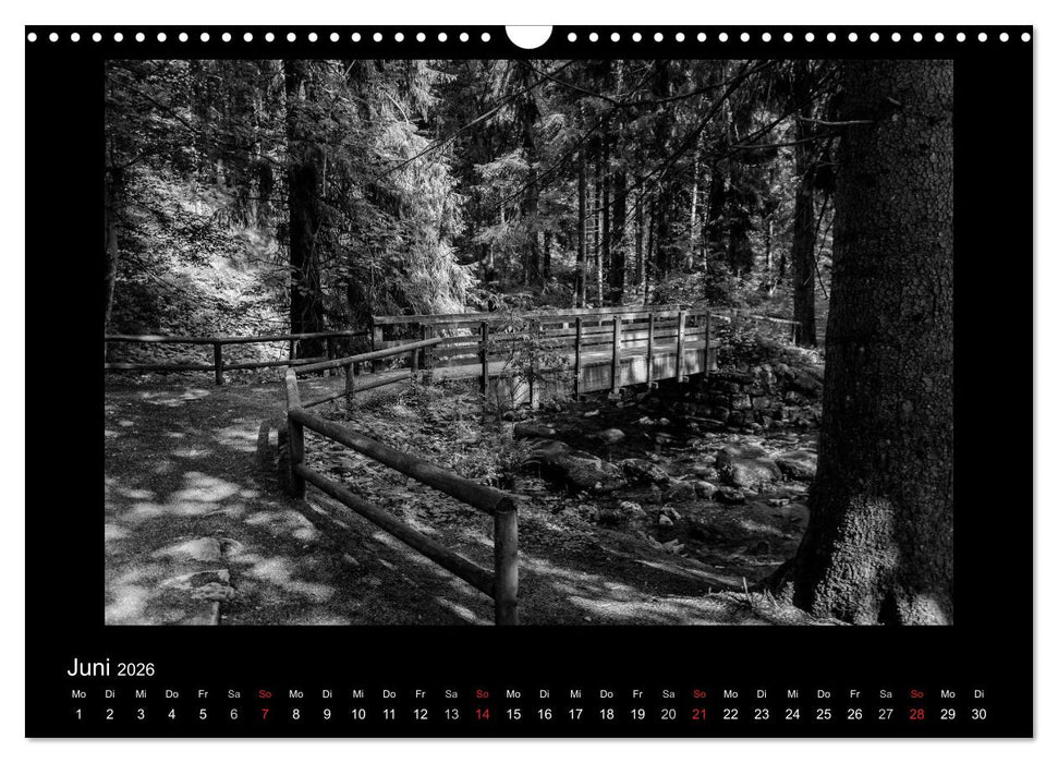 Harz-Bilder in monochrome (CALVENDO Wandkalender 2026)