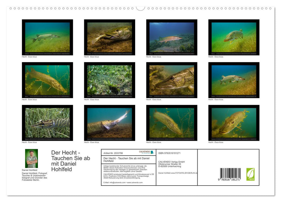 Der Hecht - Tauchen Sie ab mit Daniel Hohlfeld (CALVENDO Premium Wandkalender 2026)