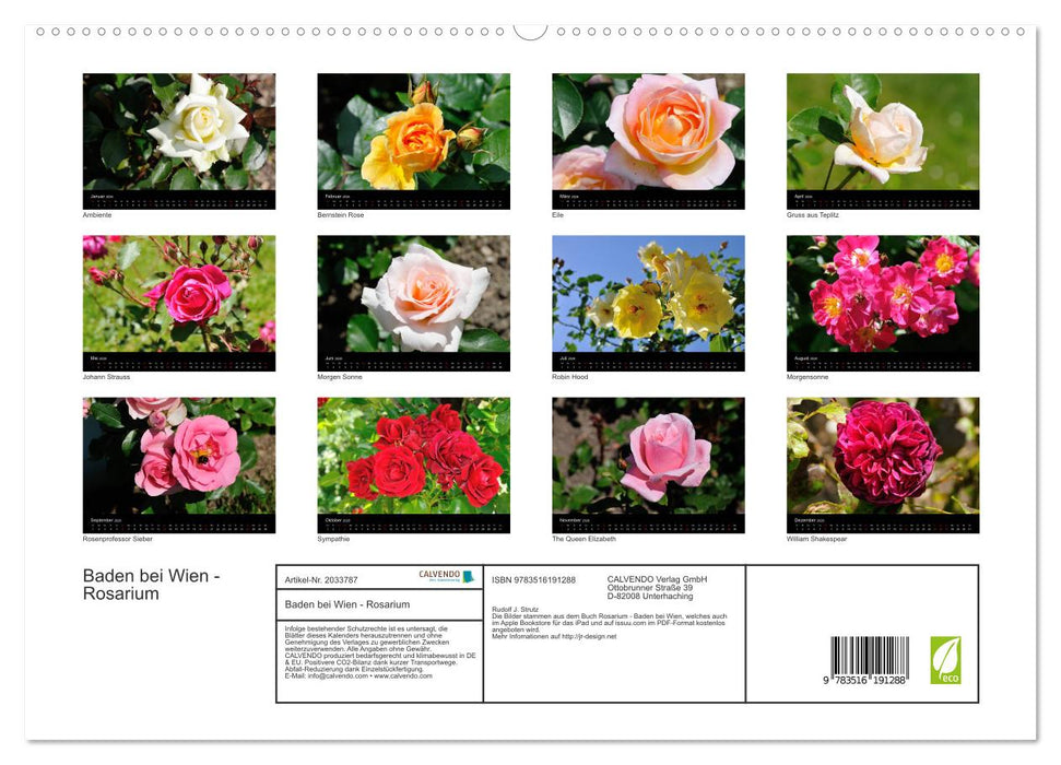 Baden bei Wien - Rosarium (CALVENDO Premium Wandkalender 2026)