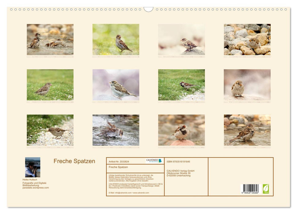 Freche Spatzen (CALVENDO Wandkalender 2026)