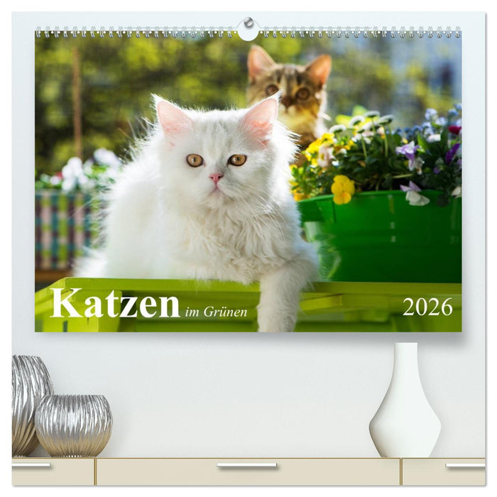 Katzen im Grünen (CALVENDO Premium Wandkalender 2026)