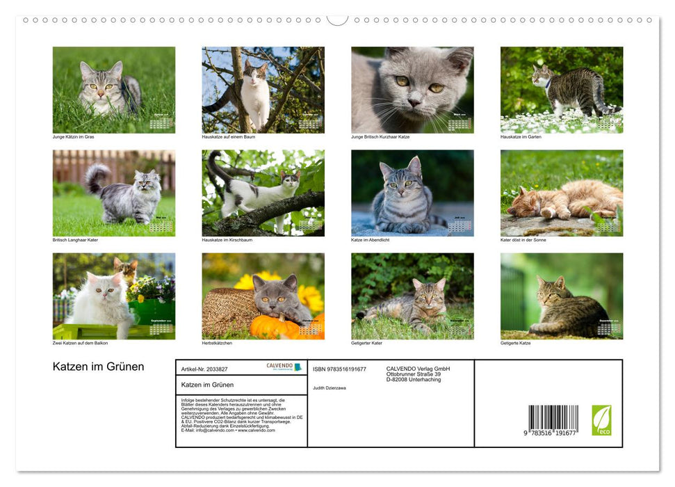 Katzen im Grünen (CALVENDO Premium Wandkalender 2026)