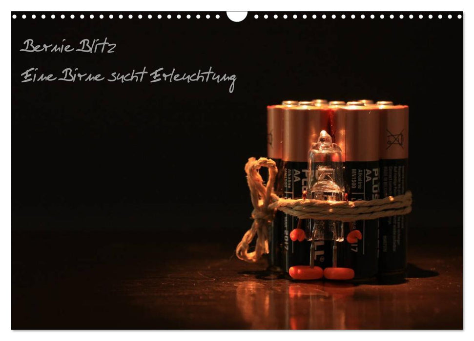 Bernie Blitz - Eine Birne sucht Erleuchtung (CALVENDO Wandkalender 2026)