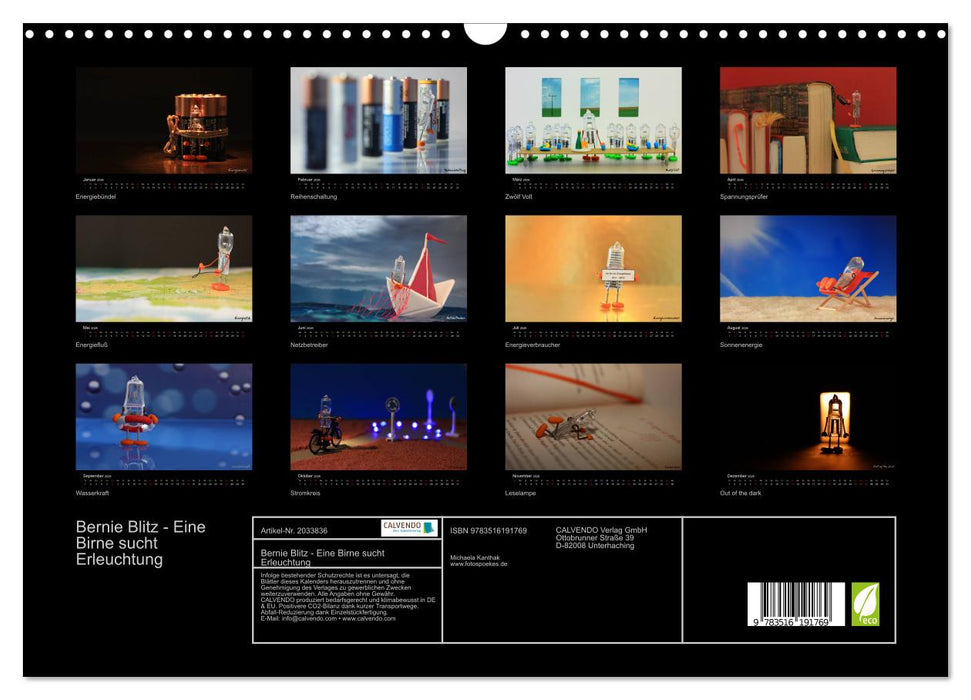 Bernie Blitz - Eine Birne sucht Erleuchtung (CALVENDO Wandkalender 2026)