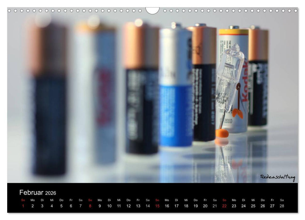 Bernie Blitz - Eine Birne sucht Erleuchtung (CALVENDO Wandkalender 2026)