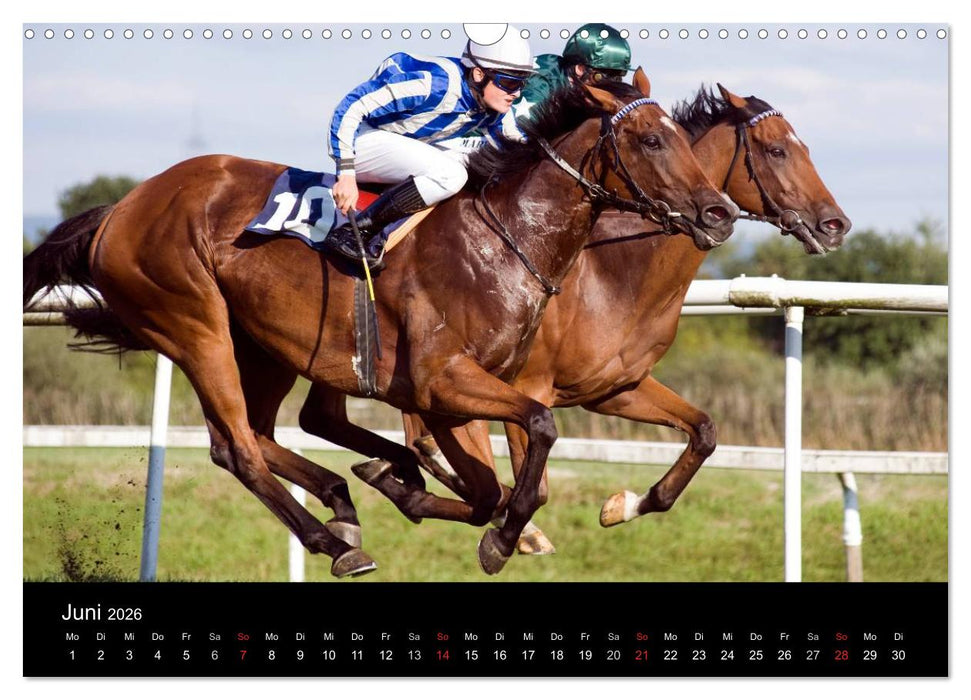 Faszination Galopprennen in Baden-Baden (CALVENDO Wandkalender 2026)