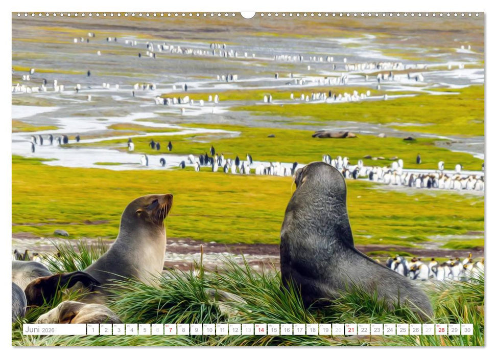 Antarktis - Das Reich der Pinguine (CALVENDO Premium Wandkalender 2026)