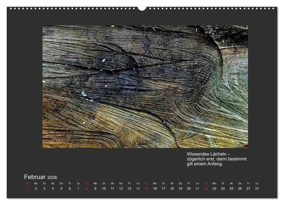 MAGIE HOLZ 2026 (CALVENDO Premium Wandkalender 2026)