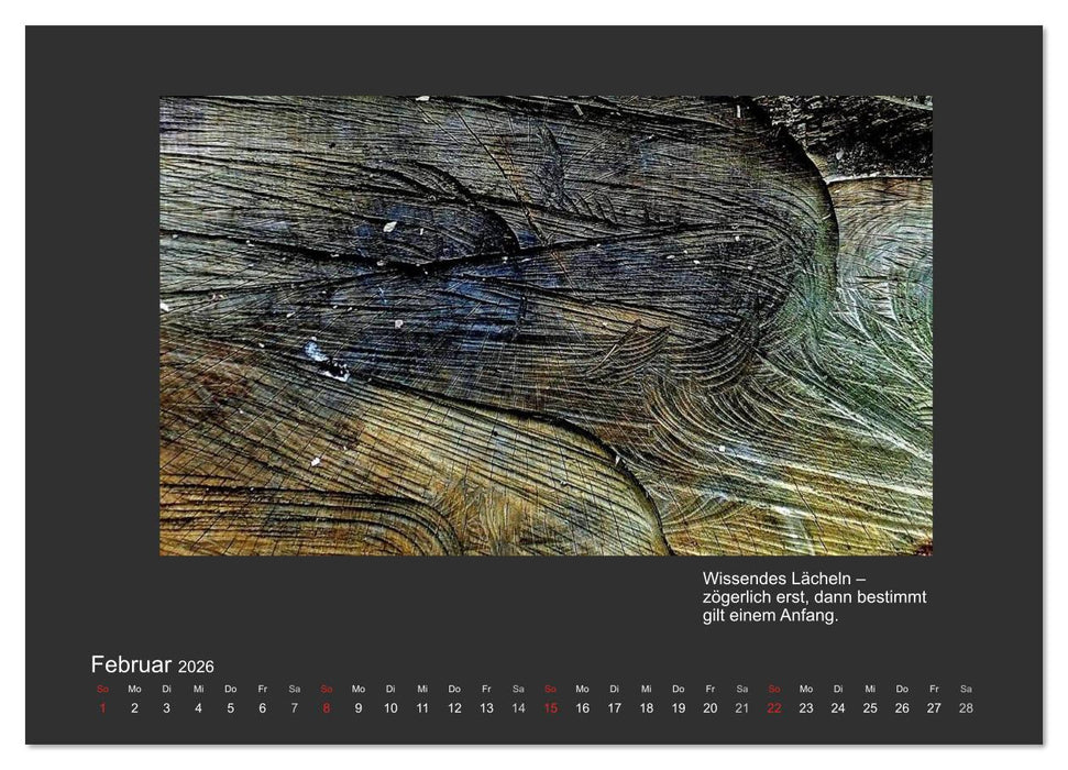 MAGIE HOLZ 2026 (CALVENDO Premium Wandkalender 2026)