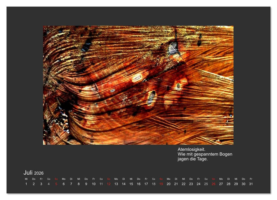 MAGIE HOLZ 2026 (CALVENDO Premium Wandkalender 2026)