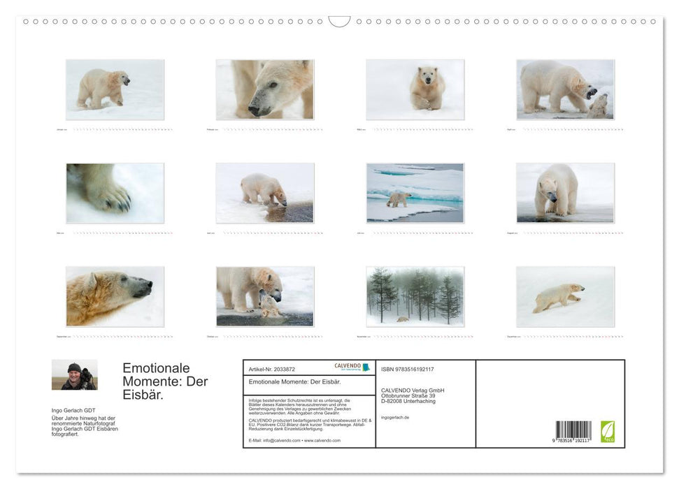 Emotionale Momente: Der Eisbär. (CALVENDO Wandkalender 2026)