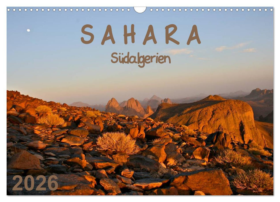 Sahara - Südalgerien (CALVENDO Wandkalender 2026)