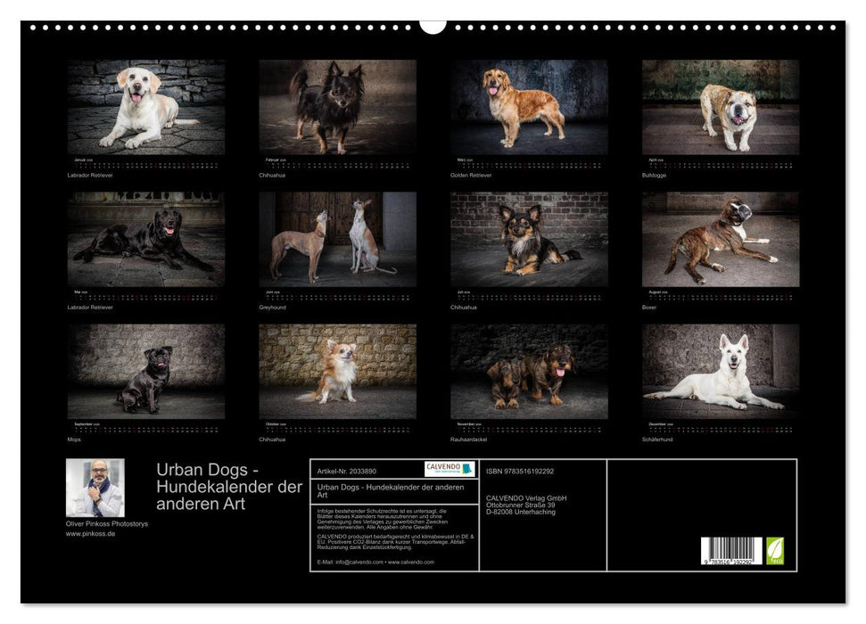 Urban Dogs - Hundekalender der anderen Art (CALVENDO Wandkalender 2026)