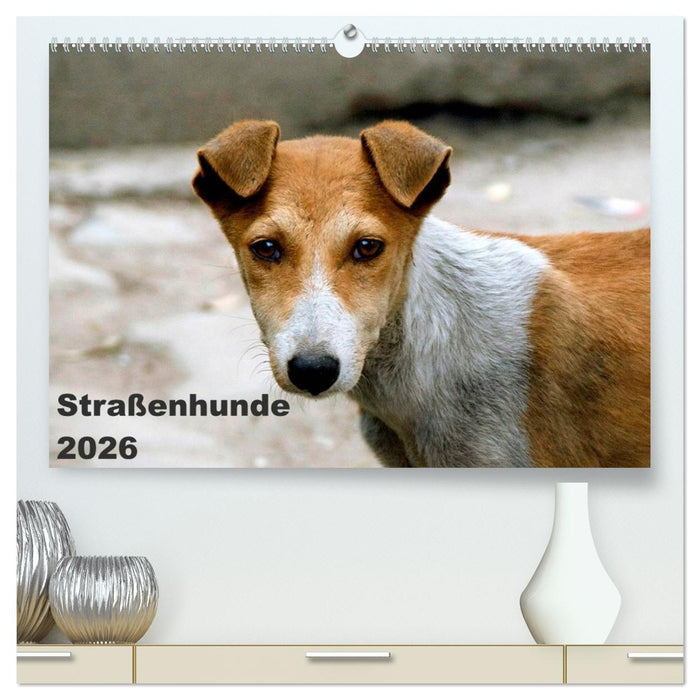 Straßenhunde (CALVENDO Premium Wandkalender 2026)