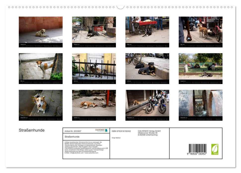 Straßenhunde (CALVENDO Premium Wandkalender 2026)