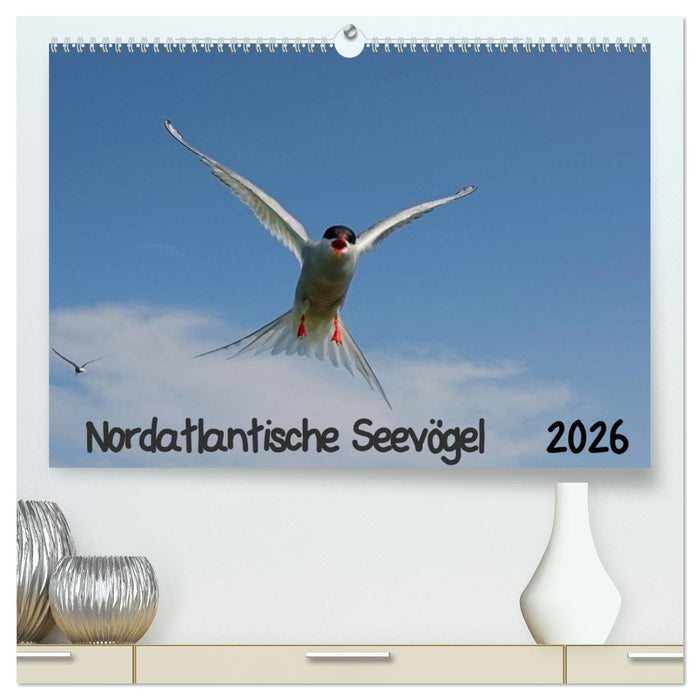 Nordatlantische Seevögel (CALVENDO Premium Wandkalender 2026)