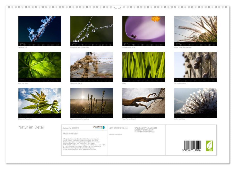Natur im Detail (CALVENDO Premium Wandkalender 2026)