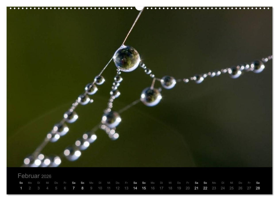 Natur im Detail (CALVENDO Premium Wandkalender 2026)