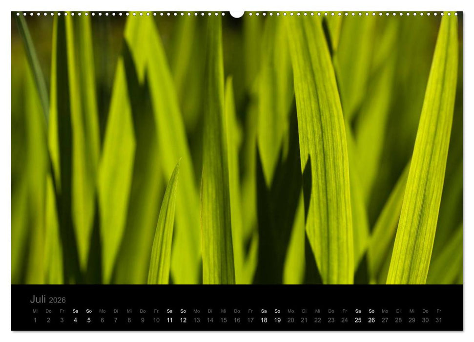 Natur im Detail (CALVENDO Premium Wandkalender 2026)