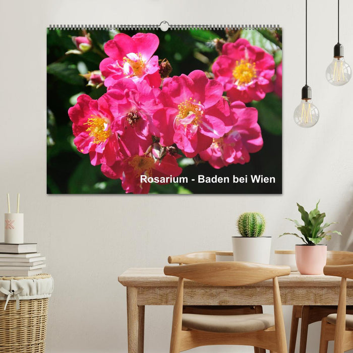 Baden bei Wien - Rosarium (CALVENDO Wandkalender 2026)