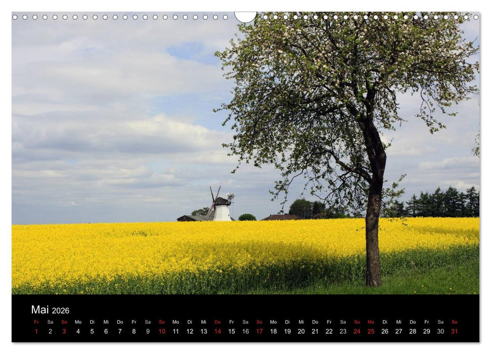 Lüneburg und die Lüneburger Heide (CALVENDO Wandkalender 2026)
