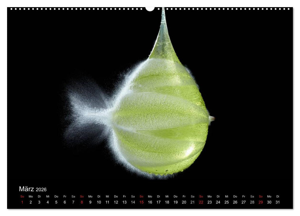 Ballistik Highspeed Fotos (CALVENDO Wandkalender 2026)
