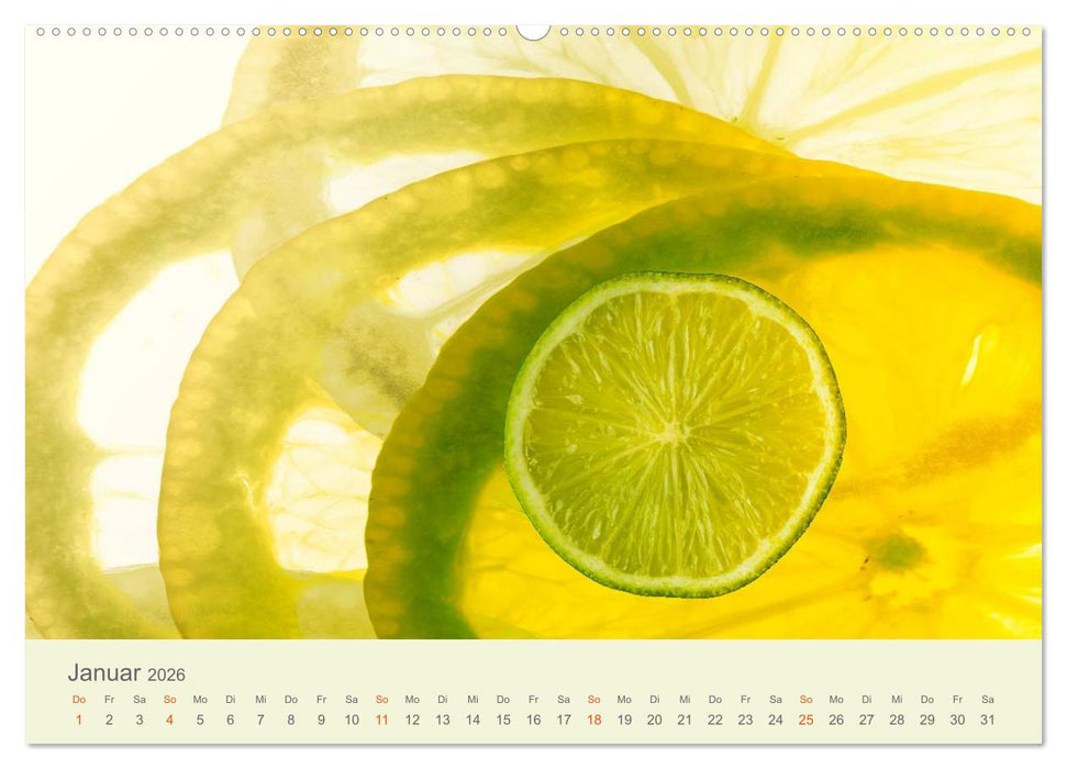 Lichtzauber (CALVENDO Premium Wandkalender 2026)