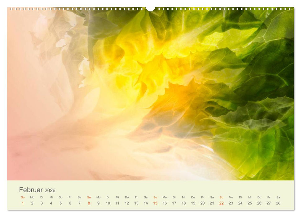 Lichtzauber (CALVENDO Premium Wandkalender 2026)