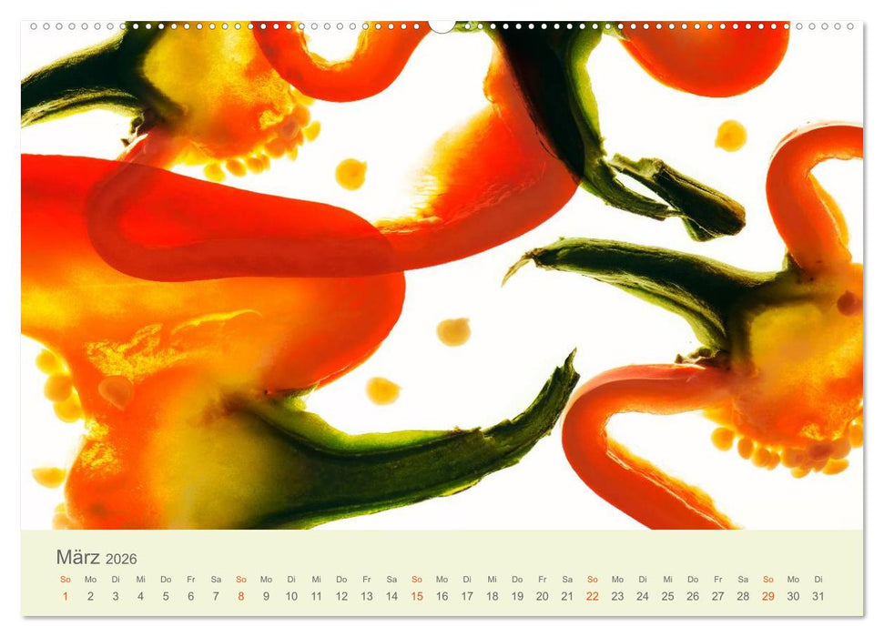 Lichtzauber (CALVENDO Premium Wandkalender 2026)