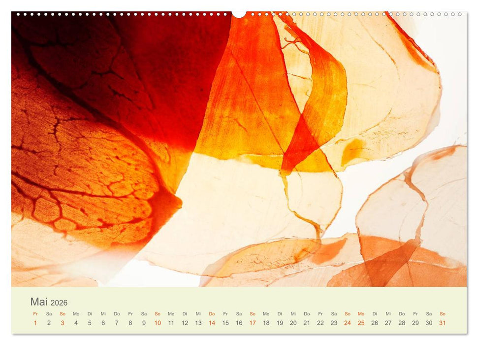 Lichtzauber (CALVENDO Premium Wandkalender 2026)