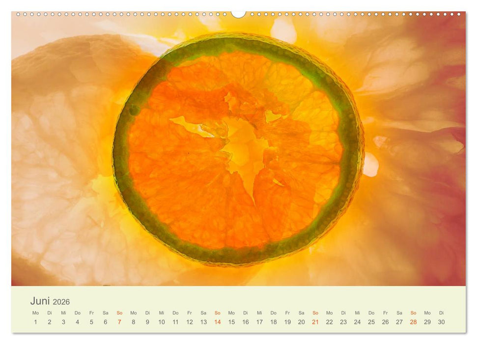 Lichtzauber (CALVENDO Premium Wandkalender 2026)