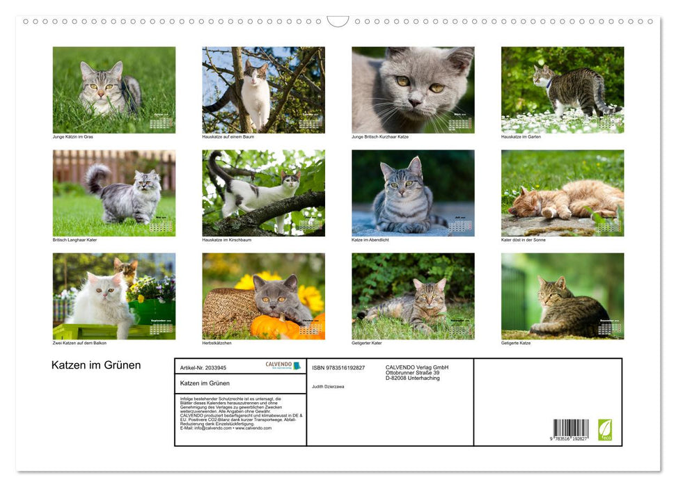 Katzen im Grünen (CALVENDO Wandkalender 2026)