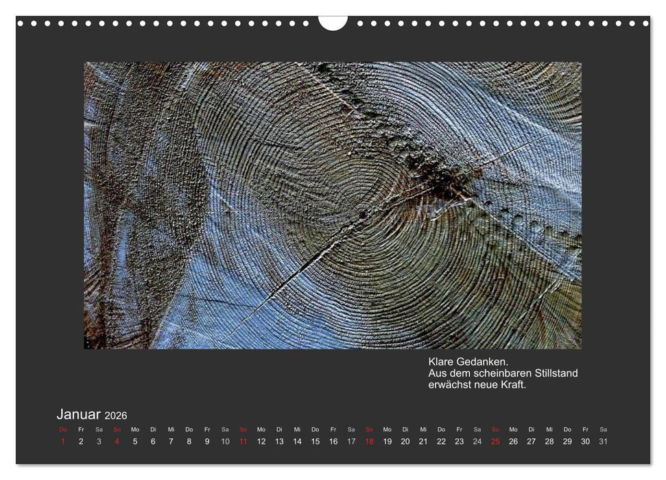 MAGIE HOLZ 2026 (CALVENDO Wandkalender 2026)