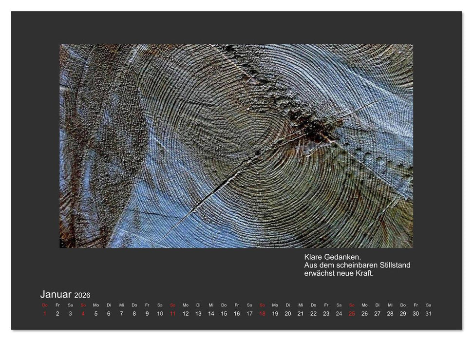 MAGIE HOLZ 2026 (CALVENDO Wandkalender 2026)