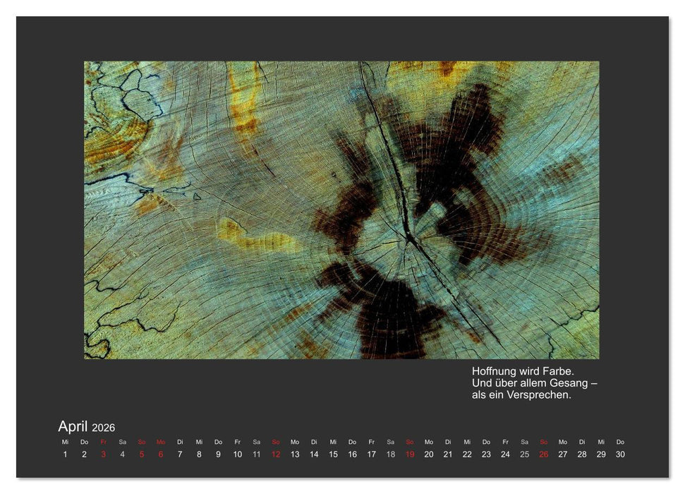 MAGIE HOLZ 2026 (CALVENDO Wandkalender 2026)