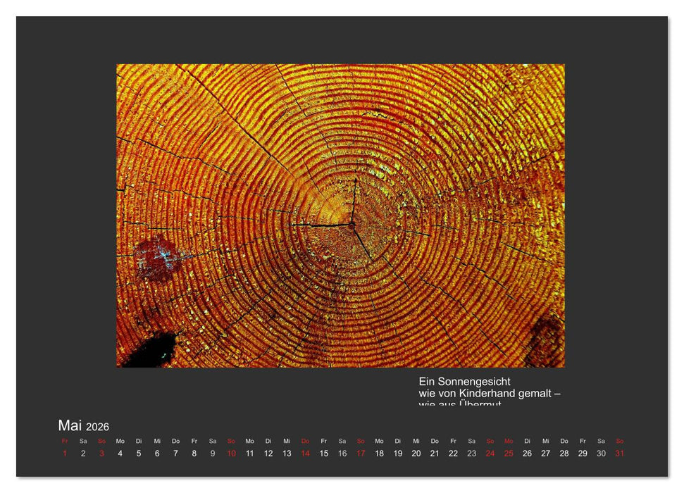 MAGIE HOLZ 2026 (CALVENDO Wandkalender 2026)