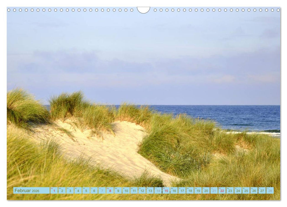 Die Ostsee (CALVENDO Wandkalender 2026)