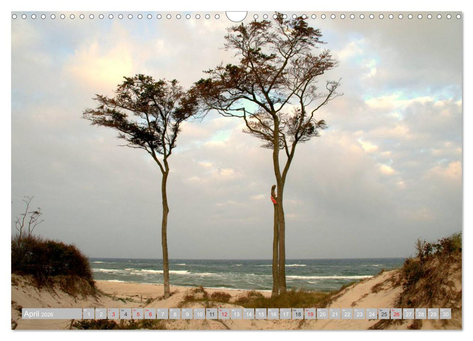 Die Ostsee (CALVENDO Wandkalender 2026)