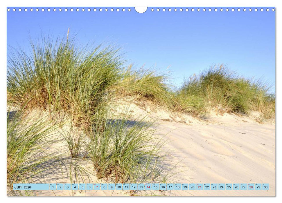 Die Ostsee (CALVENDO Wandkalender 2026)